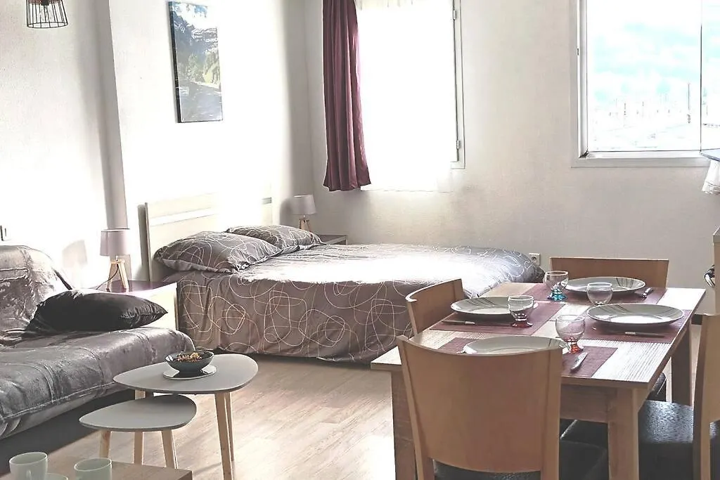 Lourdes Grand Studio Classe 2 Etoiles De 1 A 4 Personnes Apartment